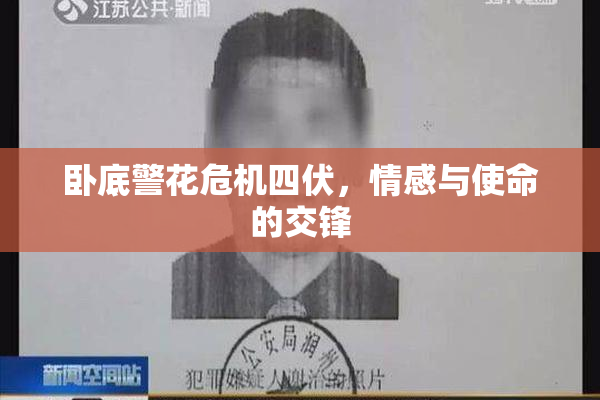 卧底警花危机四伏，情感与使命的交锋
