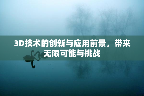 3D技术的创新与应用前景，带来无限可能与挑战