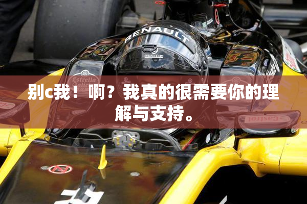 别c我！啊？我真的很需要你的理解与支持。