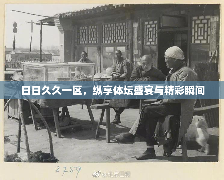 日日久久一区，纵享体坛盛宴与精彩瞬间