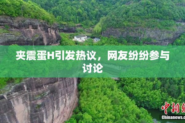 夹震蛋H引发热议，网友纷纷参与讨论