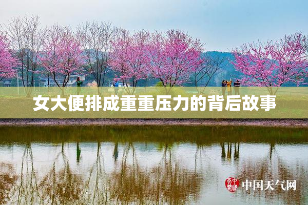 女大便排成重重压力的背后故事
