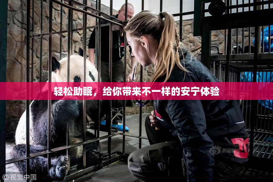 轻松助眠，给你带来不一样的安宁体验