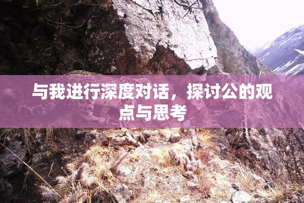 与我进行深度对话，探讨公的观点与思考