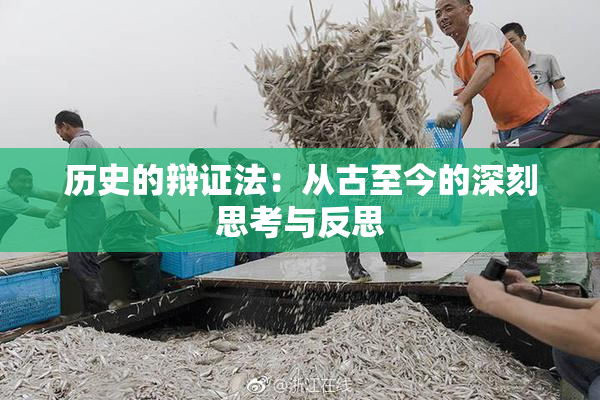 历史的辩证法：从古至今的深刻思考与反思