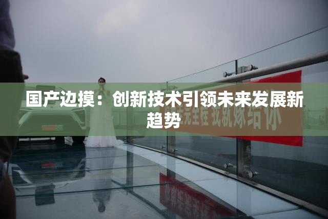 国产边摸：创新技术引领未来发展新趋势