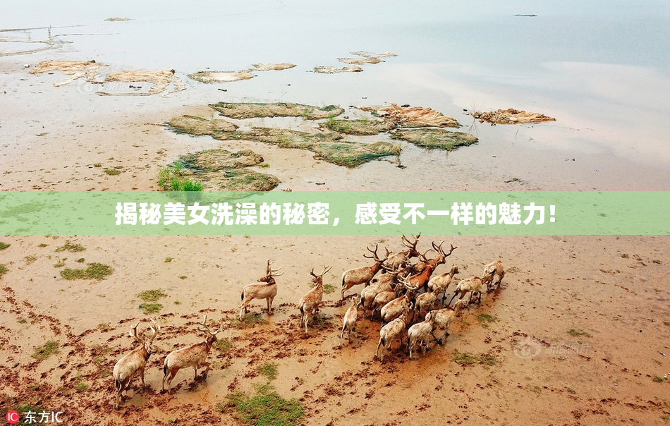 揭秘美女洗澡的秘密，感受不一样的魅力！