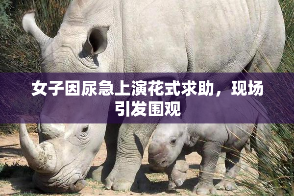 女子因尿急上演花式求助，现场引发围观