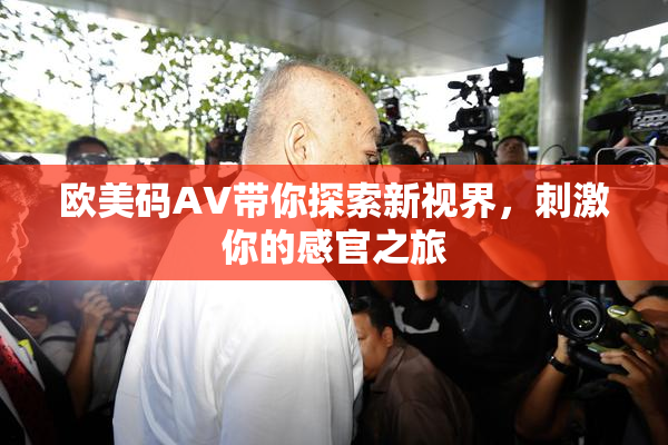 欧美码AV带你探索新视界，刺激你的感官之旅