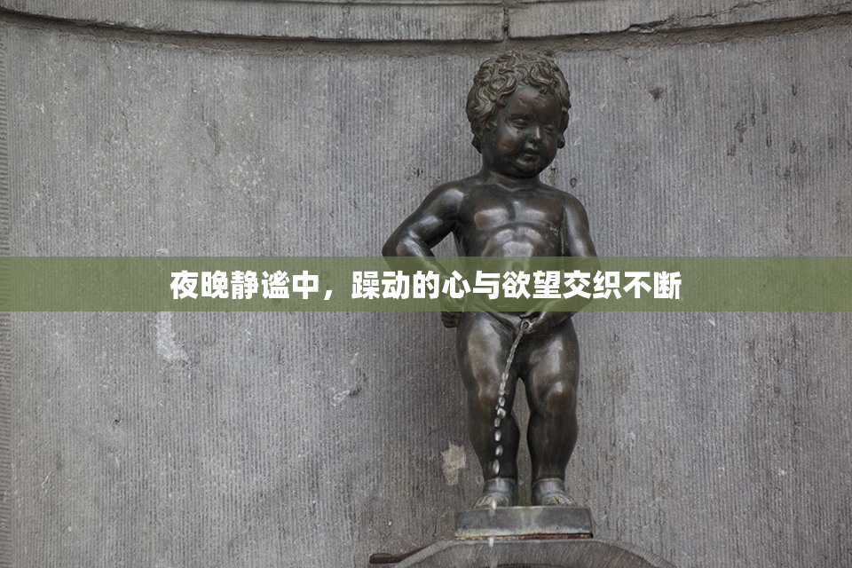 夜晚静谧中，躁动的心与欲望交织不断