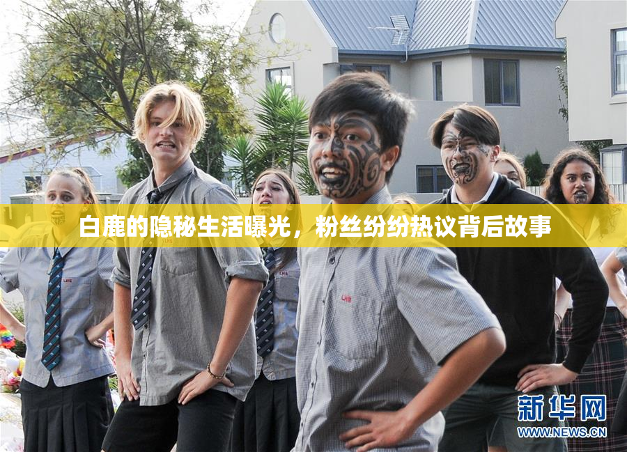 白鹿的隐秘生活曝光，粉丝纷纷热议背后故事