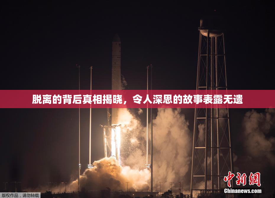 脱离的背后真相揭晓，令人深思的故事表露无遗