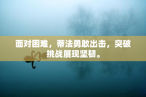 面对困难，蒂法勇敢出击，突破挑战展现坚韧。