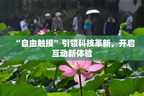 “自由触摸”引领科技革新，开启互动新体验