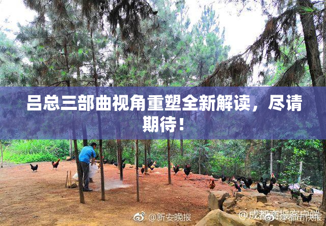 吕总三部曲视角重塑全新解读，尽请期待！