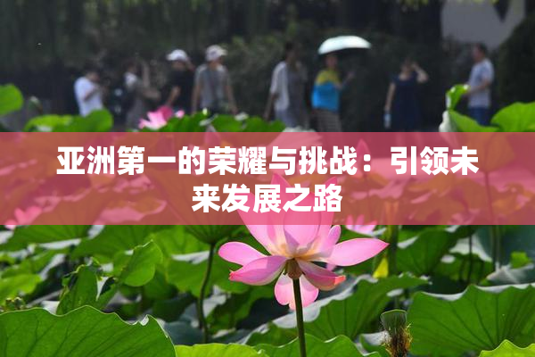亚洲第一的荣耀与挑战：引领未来发展之路