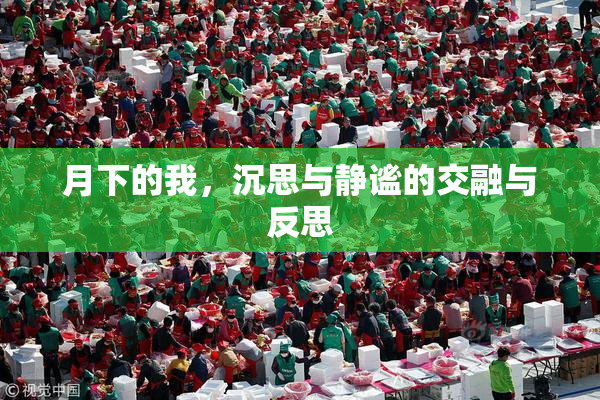 月下的我，沉思与静谧的交融与反思