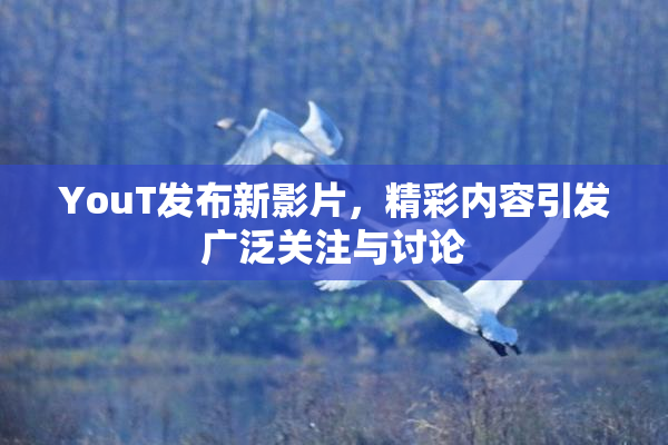 YouT发布新影片，精彩内容引发广泛关注与讨论