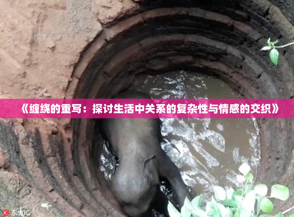 《缠绕的重写：探讨生活中关系的复杂性与情感的交织》