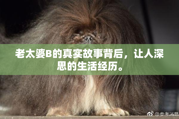 老太婆B的真实故事背后，让人深思的生活经历。