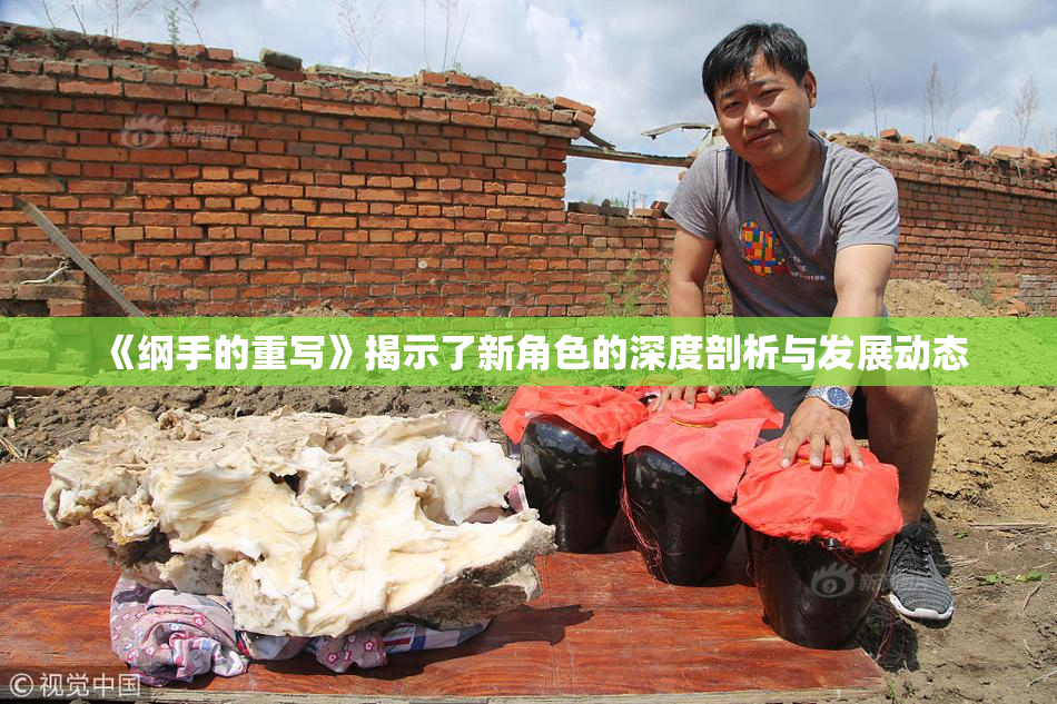 《纲手的重写》揭示了新角色的深度剖析与发展动态