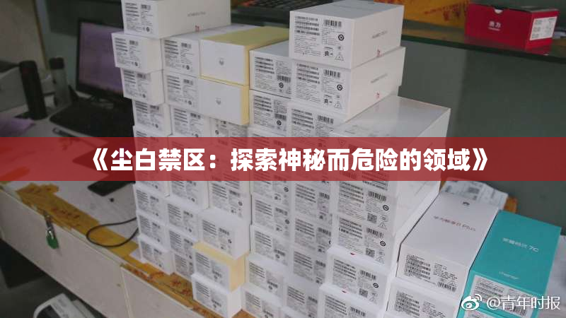 《尘白禁区：探索神秘而危险的领域》