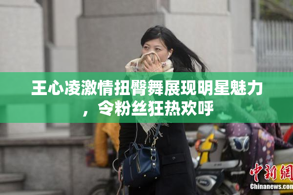 王心凌激情扭臀舞展现明星魅力，令粉丝狂热欢呼