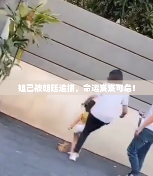 妲己被朝廷追捕，命运岌岌可危！
