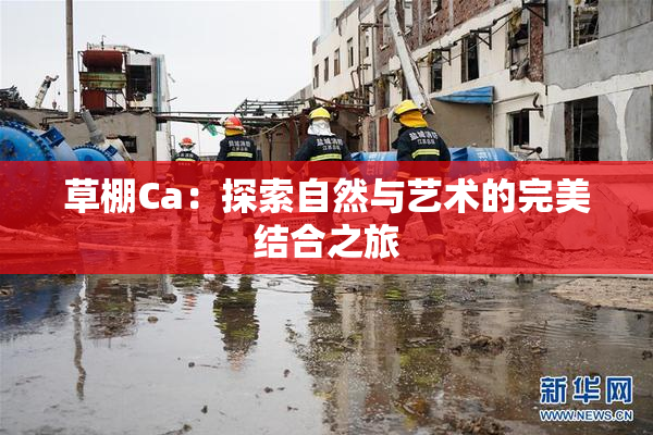草棚Ca：探索自然与艺术的完美结合之旅