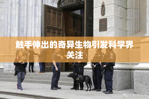 触手伸出的奇异生物引发科学界关注