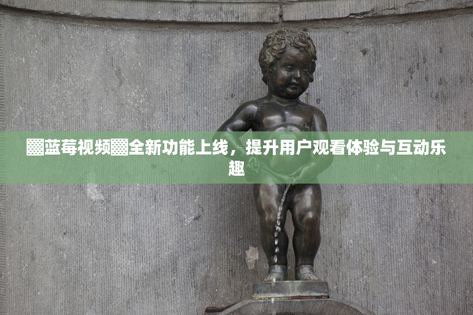 ▓蓝莓视频▓全新功能上线，提升用户观看体验与互动乐趣