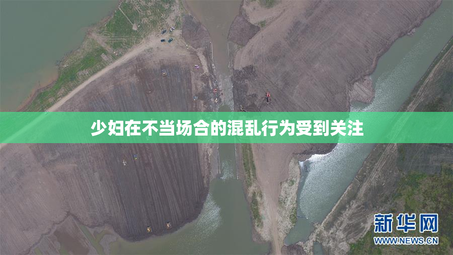 少妇在不当场合的混乱行为受到关注