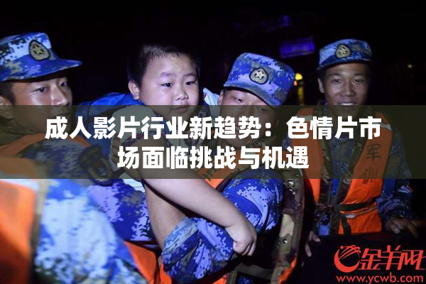 成人影片行业新趋势：色情片市场面临挑战与机遇