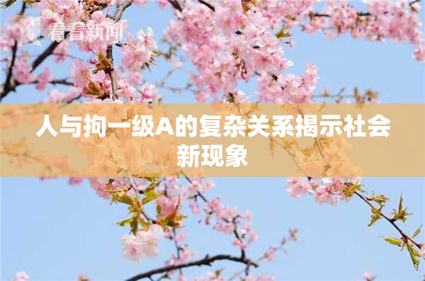 人与拘一级A的复杂关系揭示社会新现象