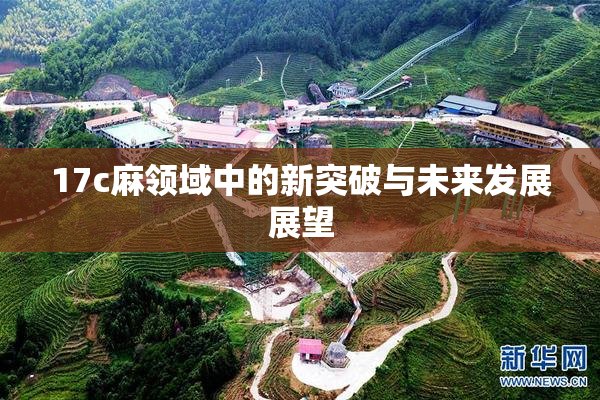 17c麻领域中的新突破与未来发展展望