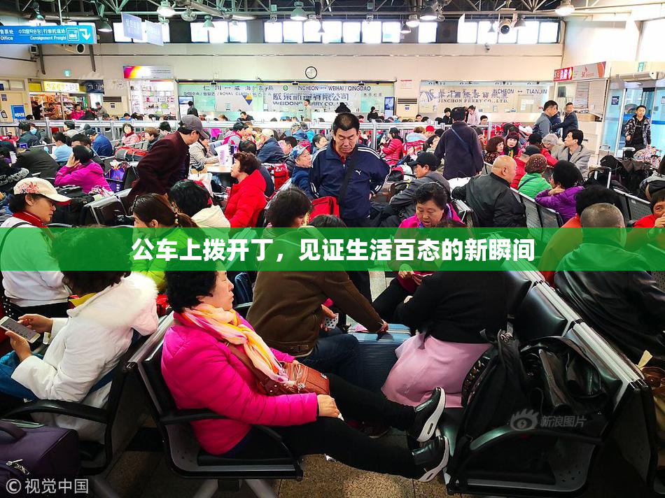 公车上拨开丁，见证生活百态的新瞬间