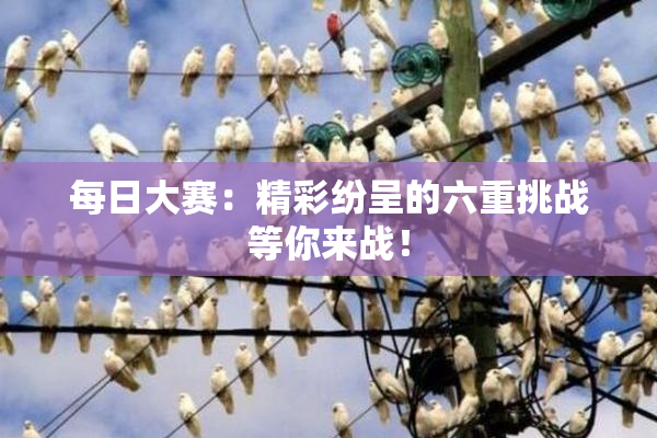 每日大赛：精彩纷呈的六重挑战等你来战！