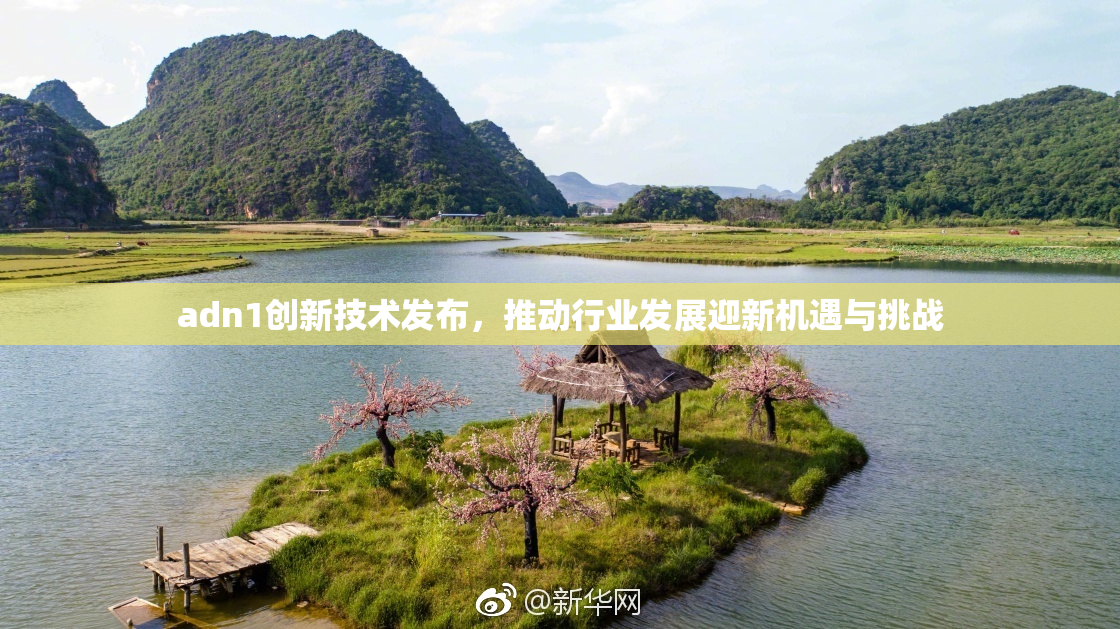 adn1创新技术发布，推动行业发展迎新机遇与挑战