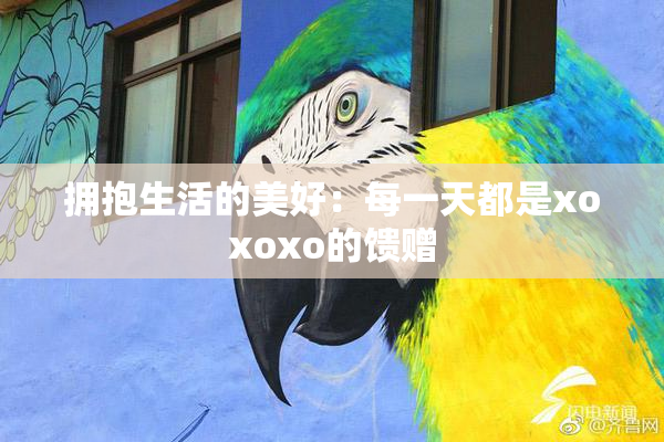 拥抱生活的美好：每一天都是xoxoxo的馈赠
