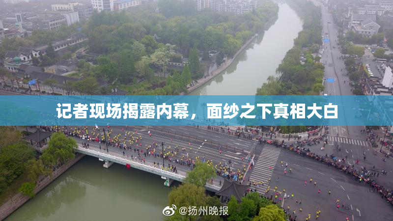 记者现场揭露内幕，面纱之下真相大白