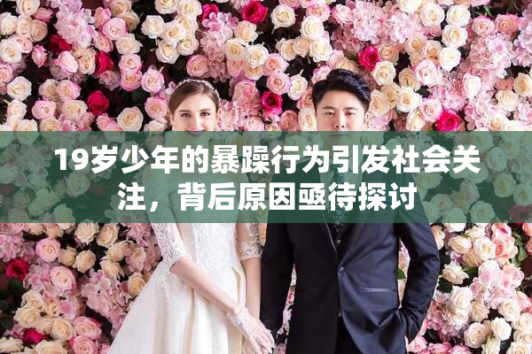 19岁少年的暴躁行为引发社会关注，背后原因亟待探讨