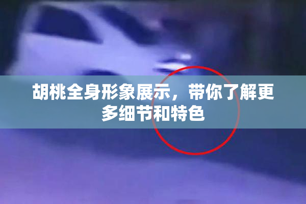 胡桃全身形象展示，带你了解更多细节和特色