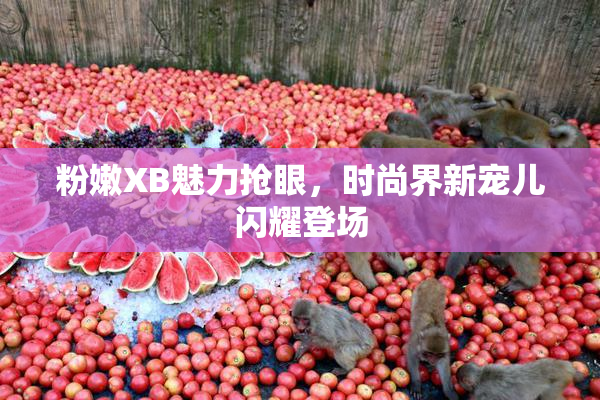 粉嫩XB魅力抢眼，时尚界新宠儿闪耀登场