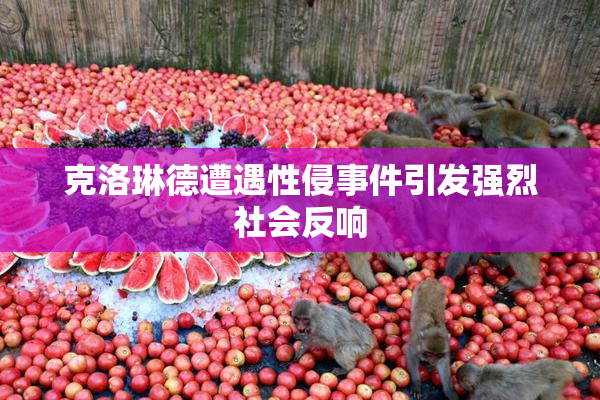 克洛琳德遭遇性侵事件引发强烈社会反响