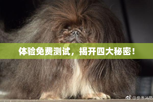 体验免费测试，揭开四大秘密！