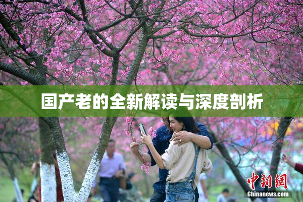 国产老的全新解读与深度剖析