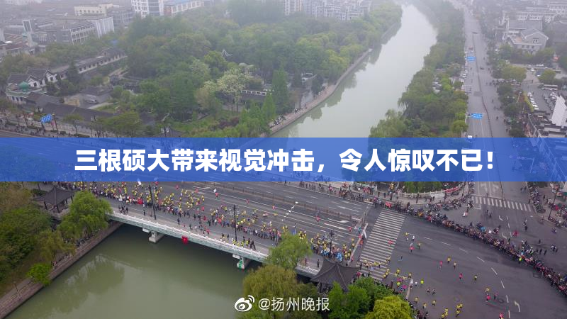 三根硕大带来视觉冲击，令人惊叹不已！