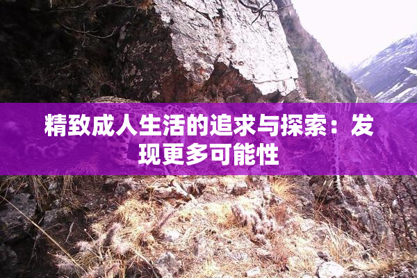 精致成人生活的追求与探索：发现更多可能性