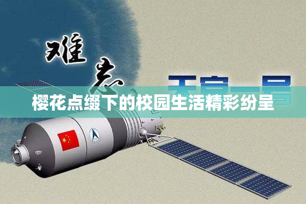 樱花点缀下的校园生活精彩纷呈