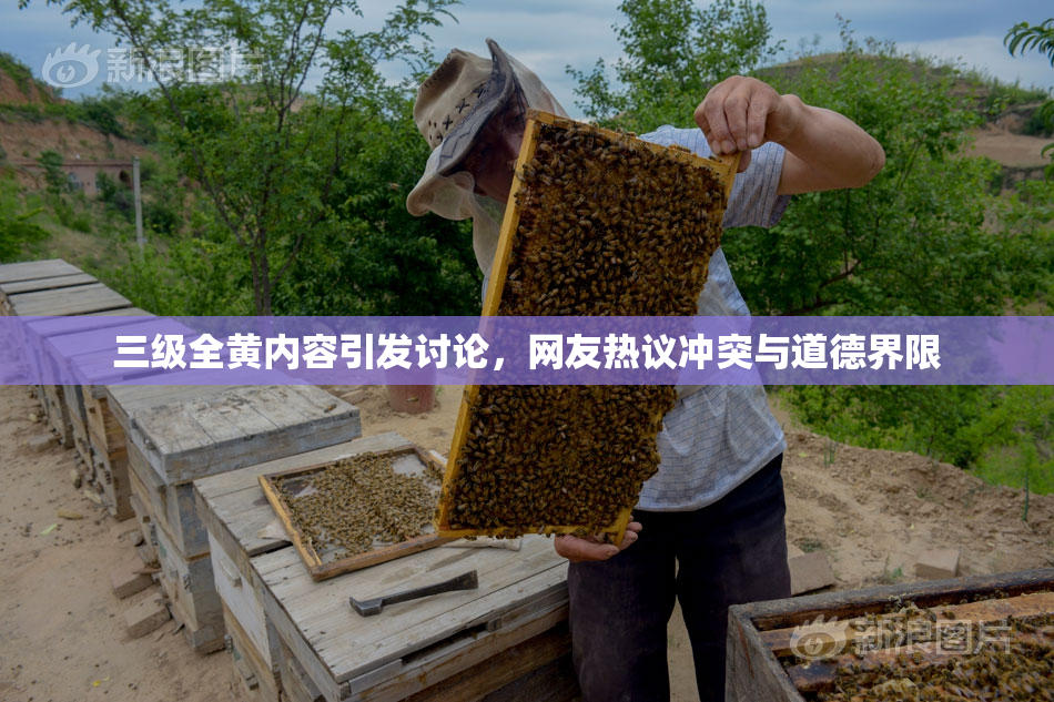 三级全黄内容引发讨论，网友热议冲突与道德界限